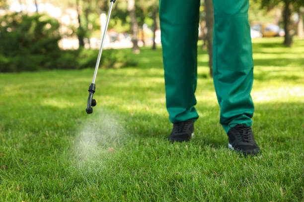 Wildlife Control Services in Hubbard, OH