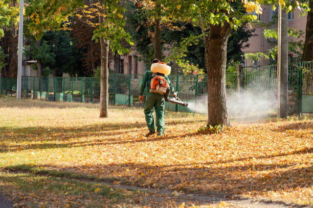 Best Bed Bug Extermination  in Hubbard, OH